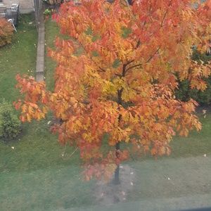 Meet your Posher, Gillian